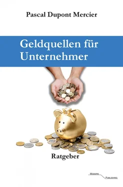 Pascal Dupont Mercier Geldquellen für Unternehmer обложка книги