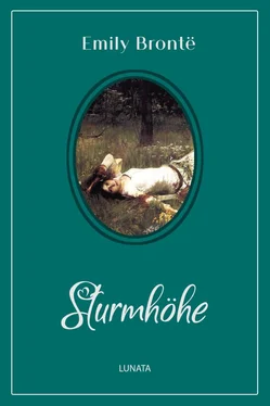 Emily Bronte Sturmhöhe обложка книги