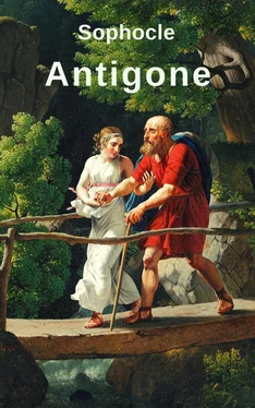 Sophocle (Sophokles) Antigone обложка книги