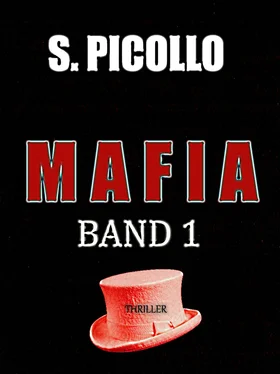 S. Picollo Mafia Band 1: Thriller обложка книги