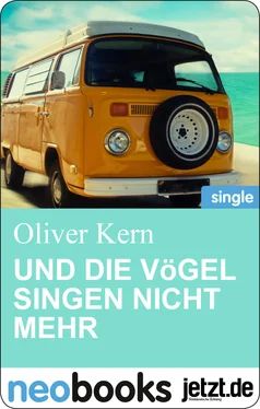 Oliver Kern Und die Vögel singen nicht mehr обложка книги