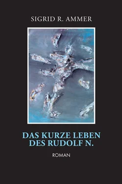 Sigrid R. Ammer Das kurze Leben des Rudolf N. обложка книги