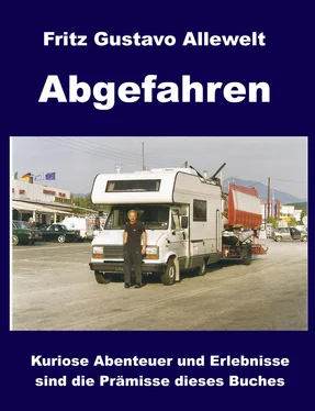 Fritz Gustavo Allewelt Abgefahren обложка книги