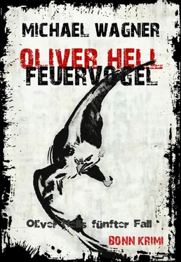 Michael Wagner Oliver Hell - Feuervogel обложка книги