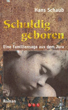 Hans Schaub Schuldig geboren обложка книги