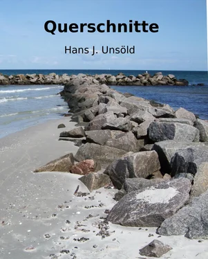 Hans J. Unsoeld Querschnitte обложка книги
