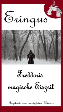 Rainer Seuring Eringus - Freddoris magische Eiszeit обложка книги
