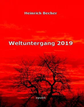 Heinrich Becher Weltuntergang 2019 обложка книги