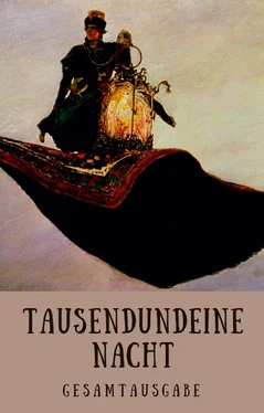 Gustav Weil Tausendundeine Nacht - 1001 Nacht