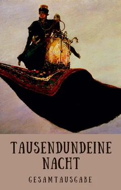 Gustav Weil Tausendundeine Nacht - 1001 Nacht обложка книги