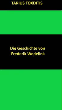 Tarius Toxditis Die Geschichte von Frederik Wedelink обложка книги