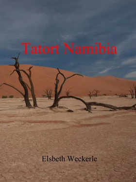 Elsbeth Weckerle Tatort Namibia обложка книги