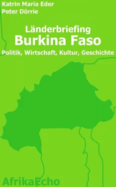 Peter Dörrie AfrikaEcho Länderbriefing Burkina Faso - Politik, Wirtschaft, Kultur, Geschichte обложка книги