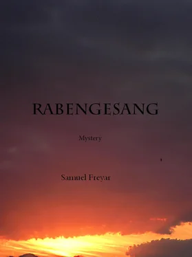 Samuel Freyar Rabengesang обложка книги