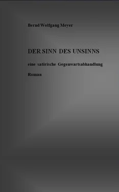 Bernd Wolfgang Meyer Der Sinn des Unsinns обложка книги