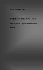 Bernd Wolfgang Meyer - Der Sinn des Unsinns