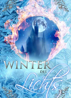 Alex C. Morrison Winter des Lichts обложка книги
