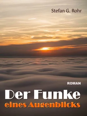Stefan G. Rohr Der Funke eines Augenblicks обложка книги