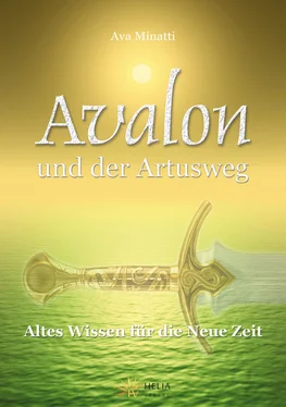 Ava Minatti Avalon und der Artusweg обложка книги