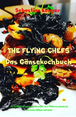 Sebastian Kemper THE FLYING CHEFS Das Gänsekochbuch обложка книги
