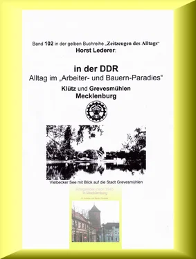 Horst Lederer Alltagsleben nach 1945 in Mecklenburg обложка книги
