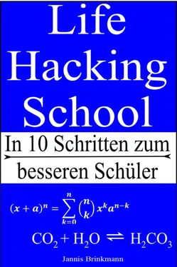 Jannis Brinkmann Life Hacking School обложка книги