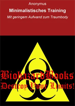 Anonymus Minimalistisches Training обложка книги