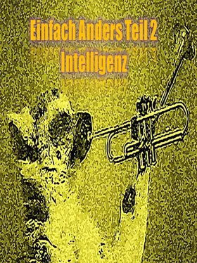 Lou Sira Renggli Einfach Anders Intelligenz Teil 2 обложка книги