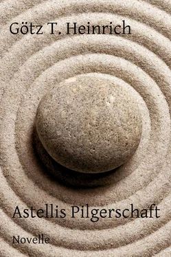 Götz T. Heinrich Astellis Pilgerschaft обложка книги