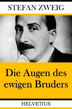 Stefan Zweig Die Augen des ewigen Bruders обложка книги