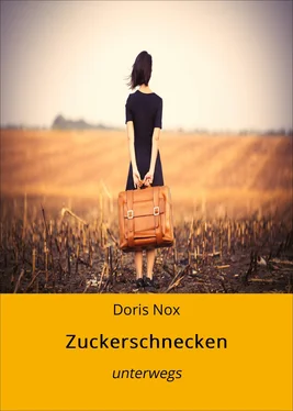 Doris Nox Zuckerschnecken обложка книги