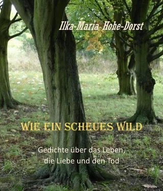 Ilka-Maria Hohe-Dorst Wie ein scheues Wild обложка книги