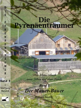 Wolfgang Bendick Die Pyrenäenträumer обложка книги