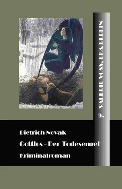 Dietrich Novak Gottlos обложка книги