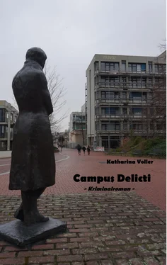 Katharina Voller Campus Delicti обложка книги