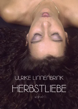 Ulrike Linnenbrink Herbstliebe обложка книги