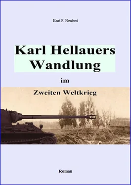 Kurt F. Neubert Karl Hellauers Wandlung im Zweiten Weltkrieg обложка книги