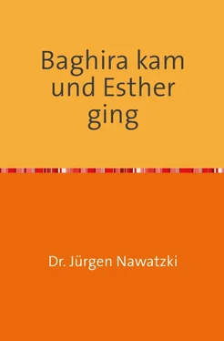 Dr. Jürgen Nawatzki Baghira kam und Esther ging обложка книги