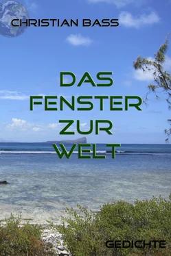 Christian Bass Das Fenster zur Welt обложка книги