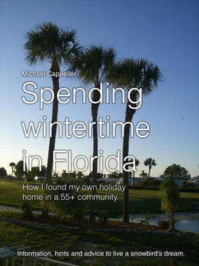 Michael Cappeller Spending wintertime in Florida обложка книги