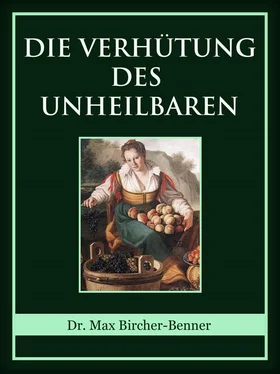 Dr. Max Bircher-Benner Die Verhütung des Unheilbaren обложка книги