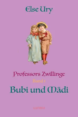 Else Ury Professors Zwillinge Bubi und Mädi обложка книги