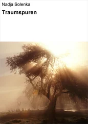 Nadja Solenka - Traumspuren