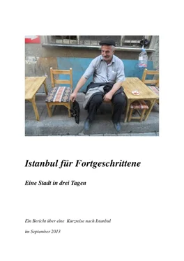 Kalika Häring Istanbul für Fortgeschrittene обложка книги