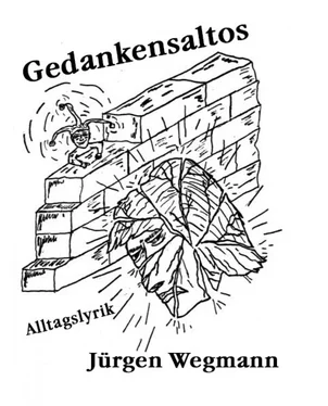 Jürgen Wegmann Gedankensaltos обложка книги