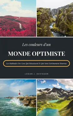 Logan J. Davisson Les Couleurs D'Un Monde Optimiste обложка книги