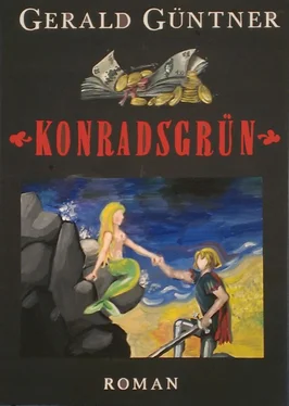 Gerald Güntner Konradsgrün обложка книги