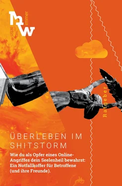 Martin Wimmer Überleben im Shitstorm обложка книги