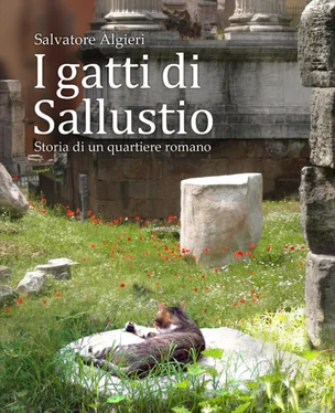 Salvatore Algieri I gatti di Sallustio обложка книги
