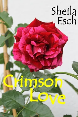 Sheila Esch Crimson Love обложка книги